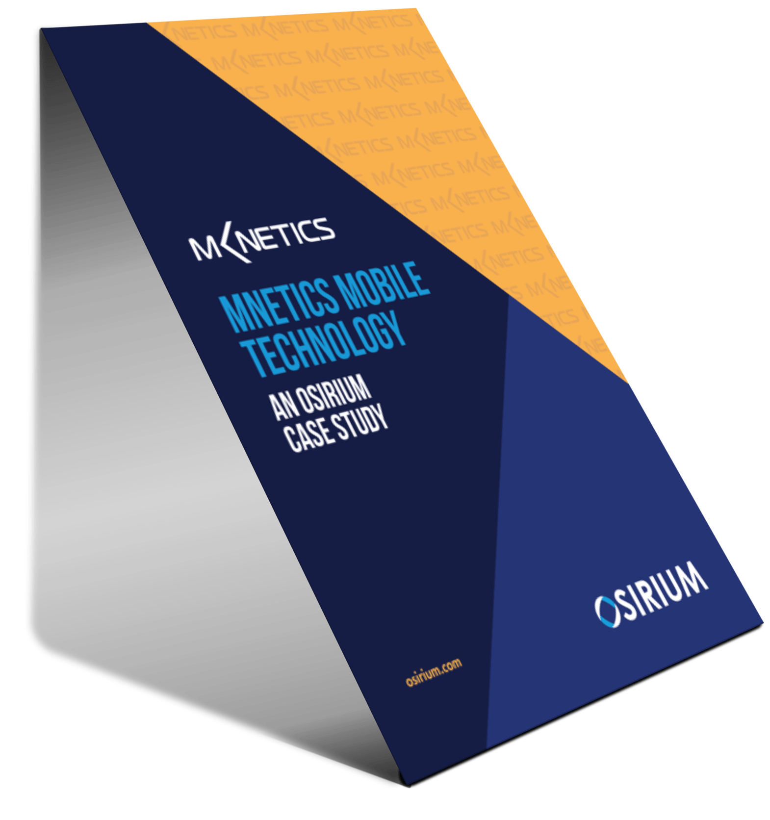 M-Netics Case Study Download