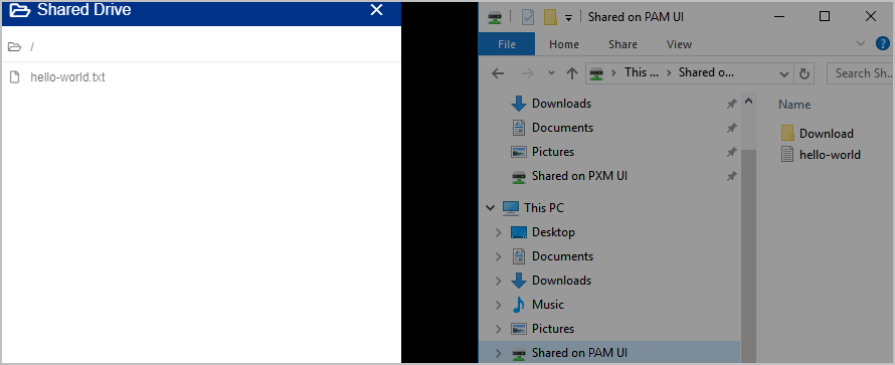 Shared Drive window with Explorer window