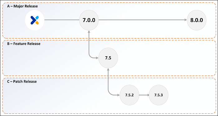 PAM release versioning