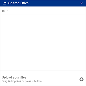 Shared drive window